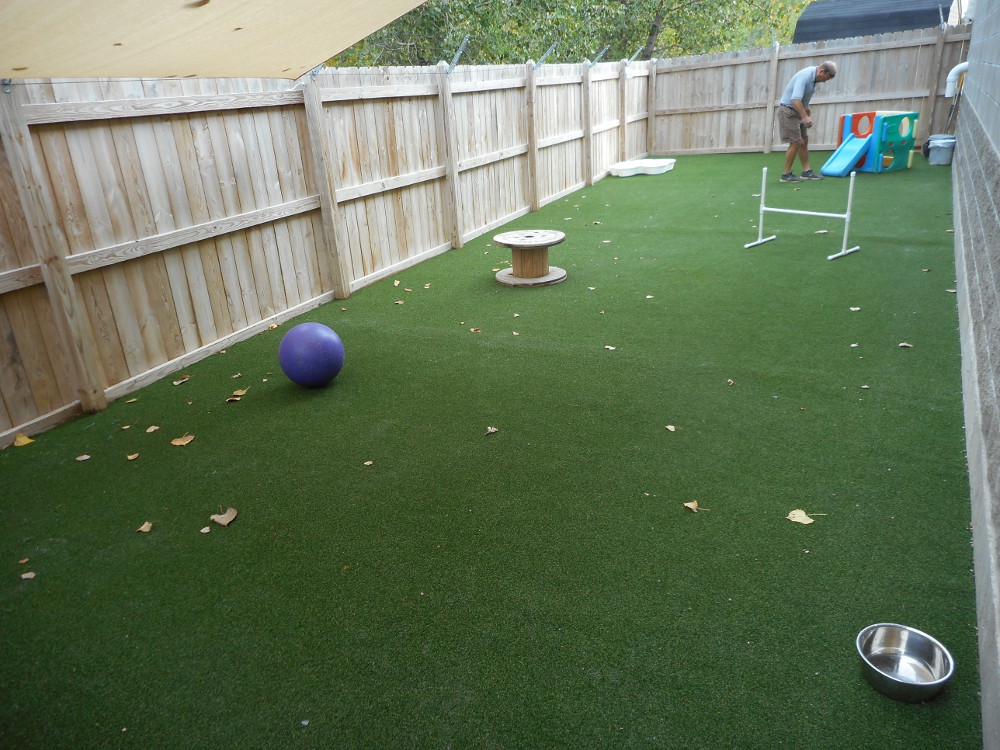 Artificial Turf For Dogs