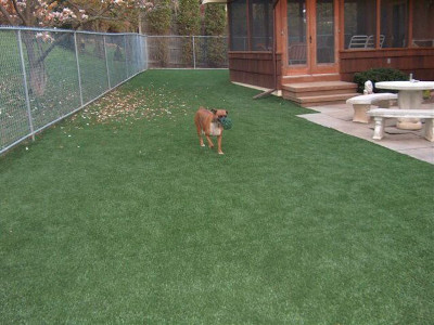 Residential Pet Turf