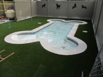 Commercial Pet Turf