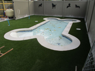 artificial grass around pools